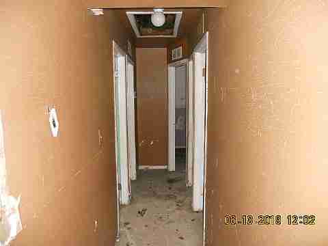 15017 Dolphin (12)_m.jpg